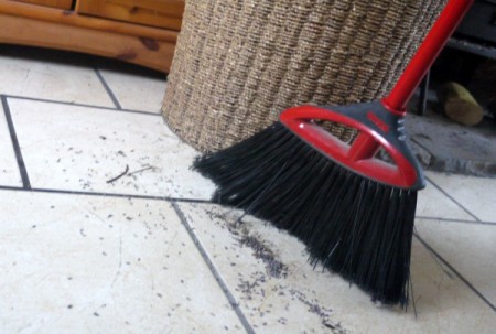 Sweep or Vacuum with Dried Lavender