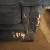 damaged fabric on couch