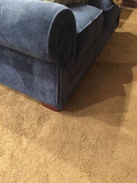 Repairing Cat Scratched Couch