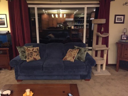 Repairing Cat Scratched Couch