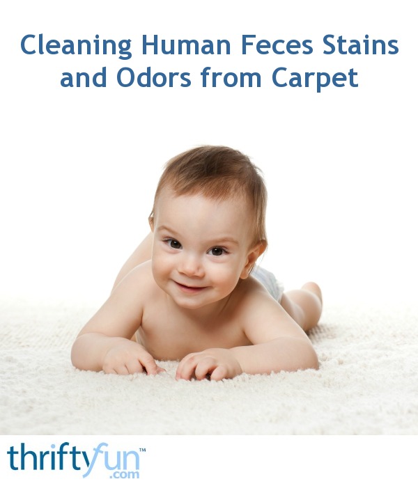Cleaning Human Feces Stains and Odors from Carpet ThriftyFun