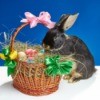 A decorated wicker Easter basket.