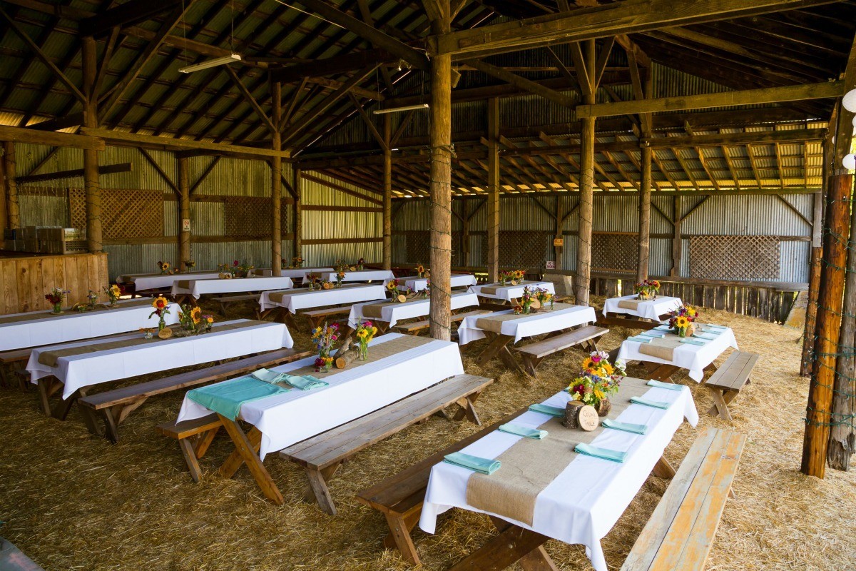 Decorating A Barn For A Wedding Reception Thriftyfun