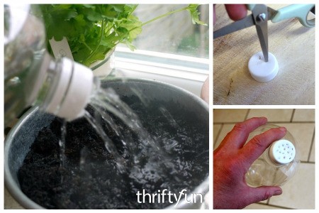 Recycled Drink Bottle for Watering Seeds