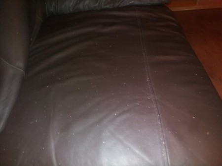 Cleaning Paint Off Faux Leather Sofa