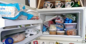 Organize your Freezer with Plastic Shoe Boxes