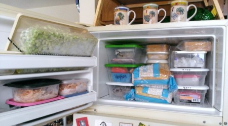 Organize your Freezer with Plastic Shoe Boxes