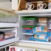 Organize your Freezer with Plastic Shoe Boxes