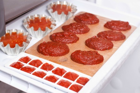 Ice cube tray, tart tins, and muffin tins filled with tomato paste