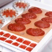 Ice cube tray, tart tins, and muffin tins filled with tomato paste