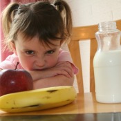 Picky toddler refusing to eat.