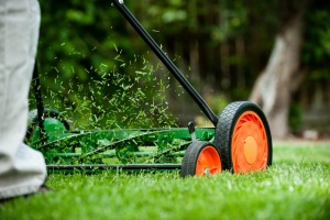 A push lawn mower cutting the grass