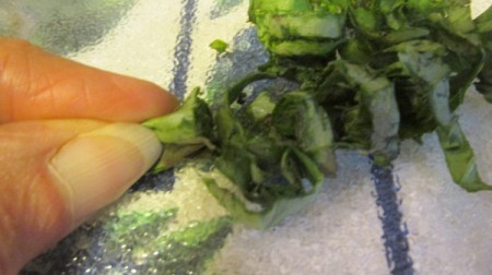 Chopping Fresh Basil Leaves