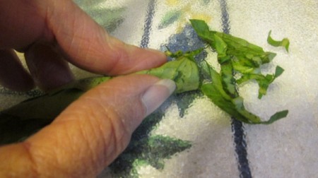 Chopping Fresh Basil Leaves