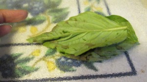 Chopping Fresh Basil Leaves