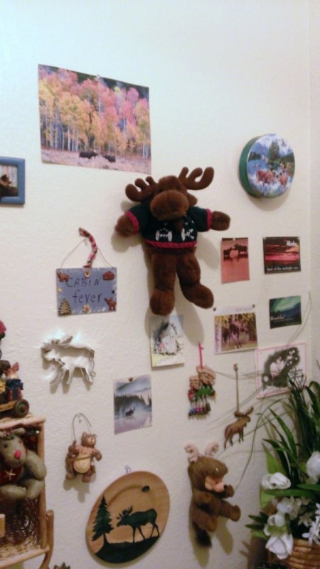 Converting a Closet into a Private Nook