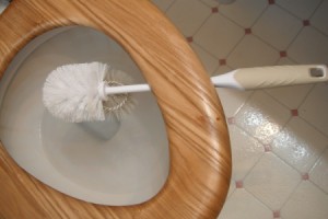 toilet brush suspended under toilet seat over bowl