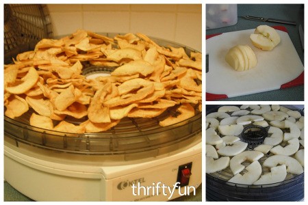 Drying Apples in a Dehydrator
