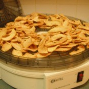 Drying Apples in a Dehydrator
