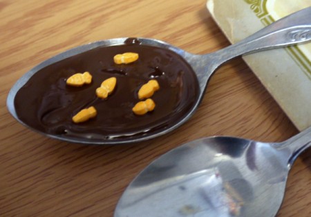Hot Chocolate Spoons