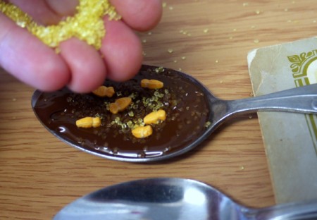 Hot Chocolate Spoons