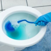 A toilet being cleaned with blue water.