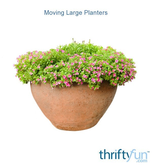 Moving large planters thriftyfun