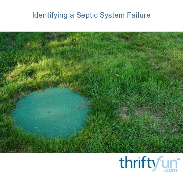 Identifying a Septic System Failure ThriftyFun