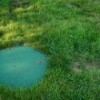 Identifying a Septic System Failure