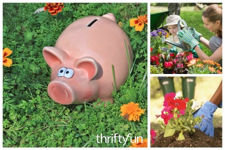 Tips for Cost Efficient Flower Gardening