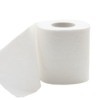 Roll of toilet paper against a white background