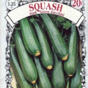 zucchini  seed package
