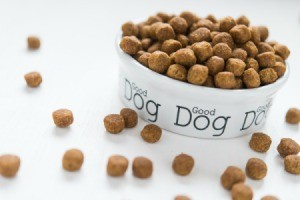Close of up dog food bowl with "Good Dog" design on it, surrounded by spilled kibble.