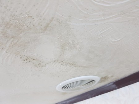 Cleaning Off Mold on Textured Ceiling