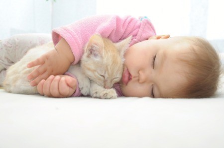 sleeping baby and kitten