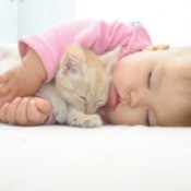 sleeping baby and kitten