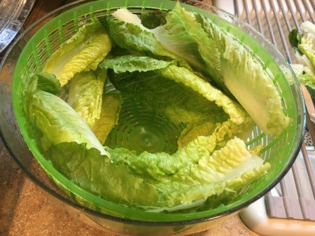 Cleaning and Storing Romaine Hearts