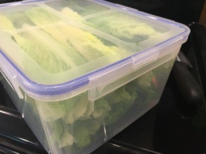 Cleaning and Storing Romaine Hearts