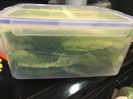 Cleaning and Storing Romaine Hearts