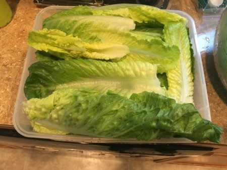 Cleaning and Storing Romaine Hearts