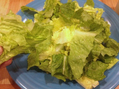Cleaning and Storing Romaine Hearts