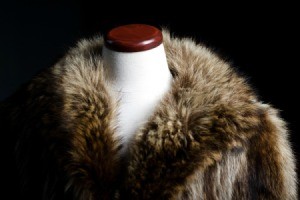 Fur coat on mannequin against a black background