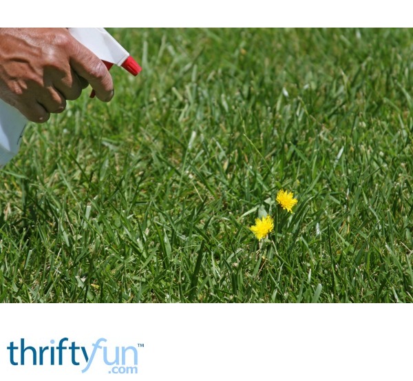Natural Weed Killers ThriftyFun