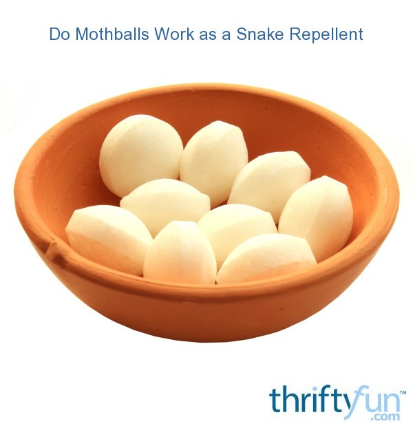 are mothballs effective against snakes