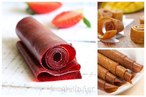 Homemade Fruit Roll Up Recipes