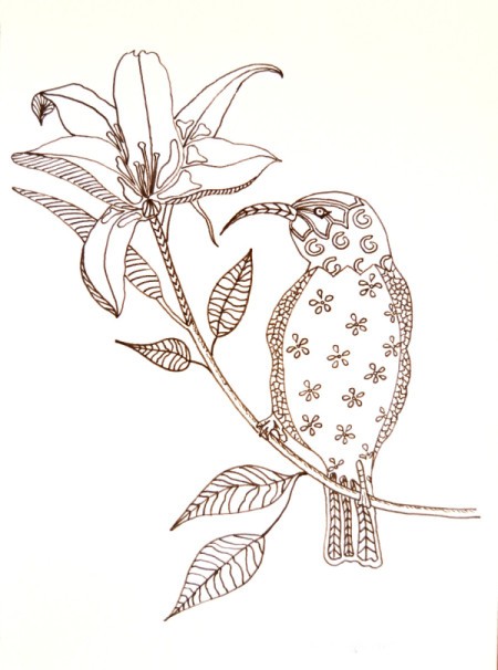 A coloring page with a hummingbird and flower.