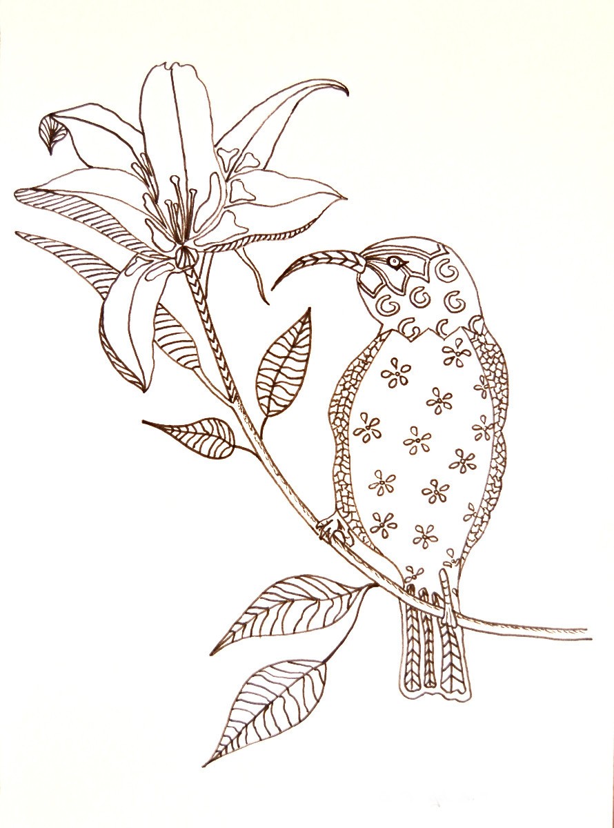 Download Hummingbird on Flower Adult Coloring Page | ThriftyFun