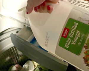 Vinegar being poured into fabric softener compartment on a top load washer