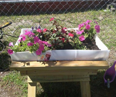 mommy daughter flower garden with pink and red flowers.