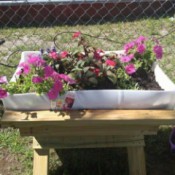 mommy daughter flower garden with pink and red flowers.
